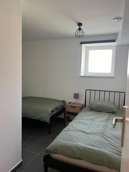 Charmant Logement Brugelette Proche De Pairi Daiza ภายนอก รูปภาพ