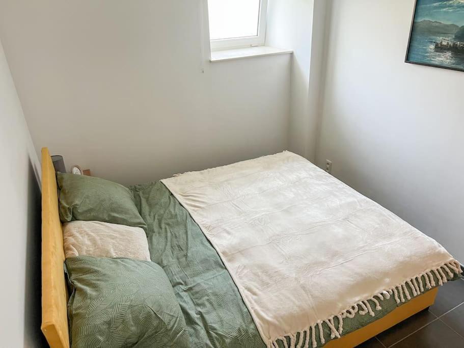 Charmant Logement Brugelette Proche De Pairi Daiza ภายนอก รูปภาพ